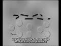 Biotecnolog�a Video 2