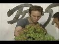 bonsai   foreigners special   part 2 of 3