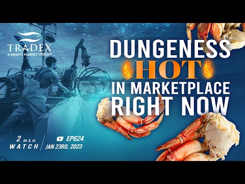 3MMI - Dungeness Crab Clusters Hot in Market Right Now, 2023 Dungeness Season Opening Update