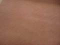 videos de la alfombra en el colegio