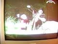 BULGARISTAN FOLK MUZIK