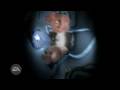 Need for Speed Carbon Trailer 1