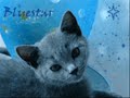 Hawkfrost, Brambleclaw,and Lionpaw- My lulaby Hawkfrost, Brambleclaw,and Lionpaw- My lulaby