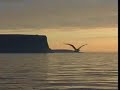 Fra murmansk til Nordkapp