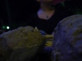 Thumbnail #1