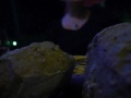 Thumbnail #2