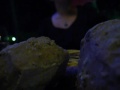 Thumbnail #3