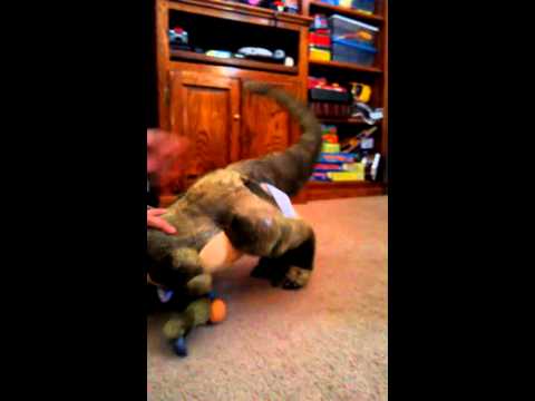 how to train your t rex