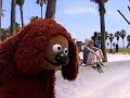 Skateboarding Dog gets served Skateboarding Dog gets served