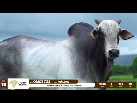 1� De Olho na Fazenda - Terra Nobre