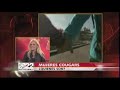 Mujeres Cougar - Dra Estella Sneider (Portal de Sexualidad)