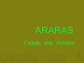 UM PASSEIO EM ARARAS, SP