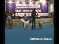 videos de YETI - RBIS