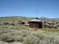 Bodie