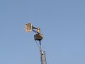 Harper Woods Salter Park (Tyrone Elementary School) Thunderbolt 1000T Alert Signal Test Harper Woods Salter Park (Tyrone Elementary School) Thunderbolt 1000T Alert Signal Test
