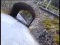 Albula