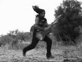 brave-new-lupus-lupus-from-lupus-grupus.html