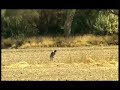 Pedro Páramo: Localizaciones clip 1
