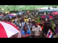 เรียกร้องราคาปาล์มตกต่ำสุราษ - YouTube