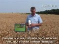 ПАФ «Воля», уборка ранних зерновых, кукуруза, просо ПАФ «Воля», уборка ранних зерновых, кукуруза, просо