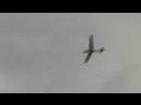 With paraglider above the sailplanes