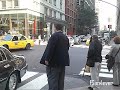 Police & Ambulane NYC