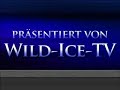 eigentor beim eishockey