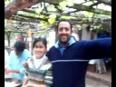huevo 2