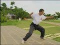 Shaolin Liu He Quan 6 coordinations Association Wan Laisheng Shaolin Liu He Quan 6 coordinations Association Wan Laisheng
