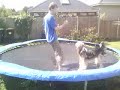 Socks + Trampoline