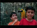 Colombia - Tomar el riesgo de conocerla  / by Aicrum Tv