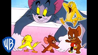 Tom & Jerry  Bird Attack!  Classic Cartoon Com