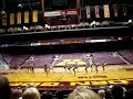 (Make sure to click watch in high quality) UMDT 2008-2009 learned this routine in a matter of 2 weeks and then brought it to UDA dance camp in WI. The team ended up taking 1st place in the division 1A category.