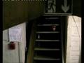 The Cellar