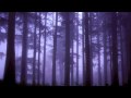 Julian Lynch - Winterer One