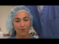 The Politics of Stem Cell Research