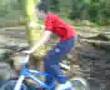muxton woods jumps