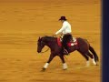 WEG aachen 2006 Duane Latimer 1.Go WEG aachen 2006 Duane Latimer 1.Go