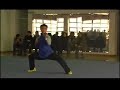 WU ya nan - Taiji in shaanxi WU ya nan - Taiji in shaanxi