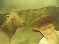 La cabra y el asno - fabula - funny stories
