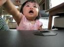 えいごであそぼ テレビにかぶりつき