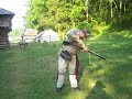 Firing Ferguson rifle battle speed Firing Ferguson rifle battle speed