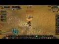 World of Warcraft lvl 70 shaman pvp