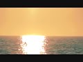 Very beautiful song. I think you have to watch this video a few times to truly appreciate it. I made this video for the girl im in love with. the video is two different time lapses. Sunrise to sunset. Amazing footage. All My Days lyrics: Well I have been searching all of my days All of my days Many a road, you know Ive been walking on All of my days And Ive been trying to find Whats been in my mind As the days keep turning into night Well I have been quietly standing in the shade All of my ...