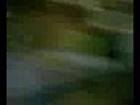 yop xD