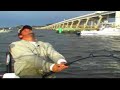 500 pound Goliath Sea Bass Grouper! Fish