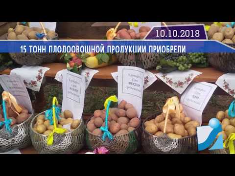 Новостная лента Телеканала Интекс 10.10.18.