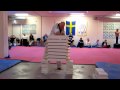 JSK Taekwondo - Frasse krossar 8st betongblock