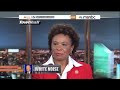 MSNBC's Hayes: 'Frustrating that Crime is Going Down' While 'More People in Prison'