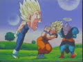 Vegeta Enfadado